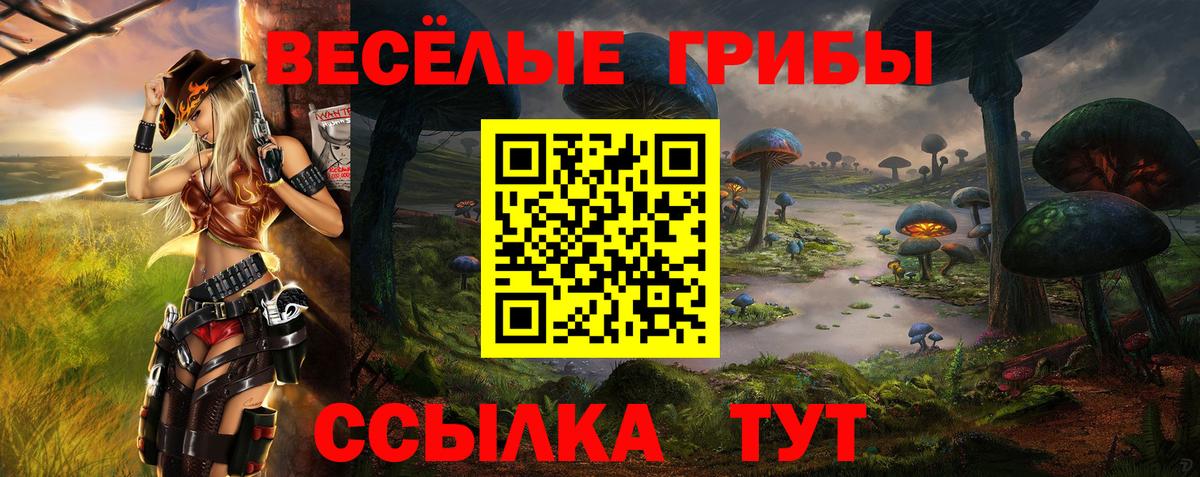 Псилоцибиновые грибы ЛСД  Вход с VPN  Тайшет 